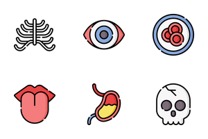 بدن انسان | human body