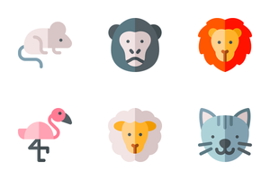 حیوانات | animals